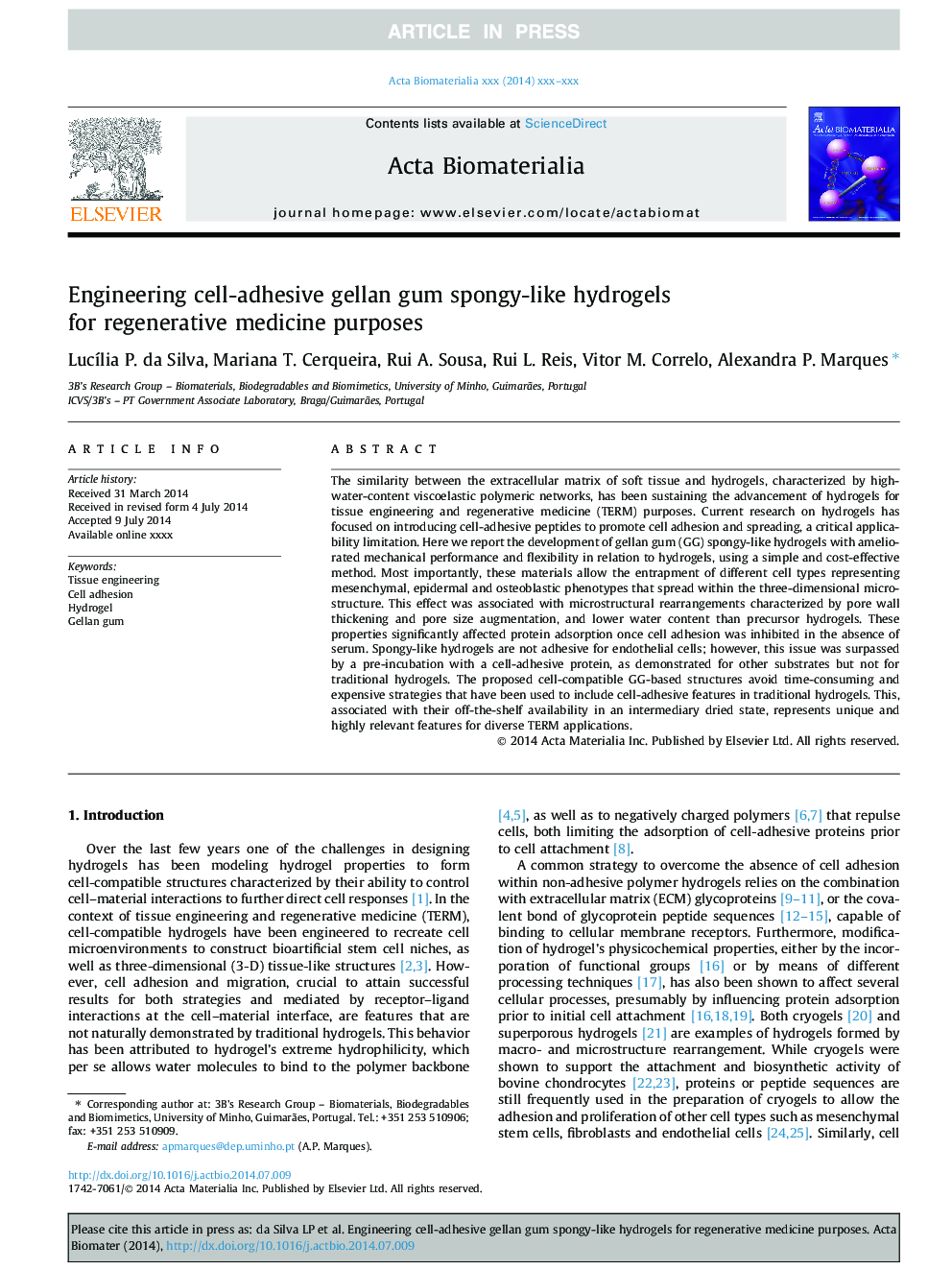 Engineering cell-adhesive gellan gum spongy-like hydrogels for regenerative medicine purposes