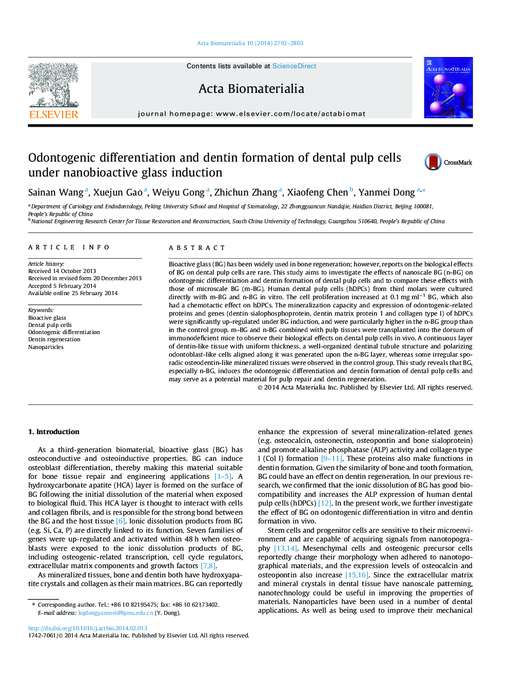 Odontogenic differentiation and dentin formation of dental pulp cells under nanobioactive glass induction