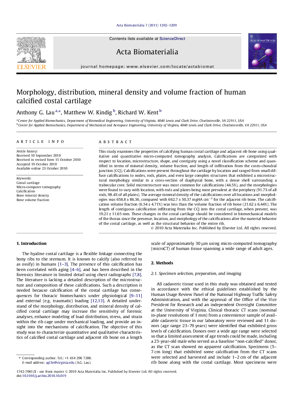 Morphology, distribution, mineral density and volume fraction of human calcified costal cartilage