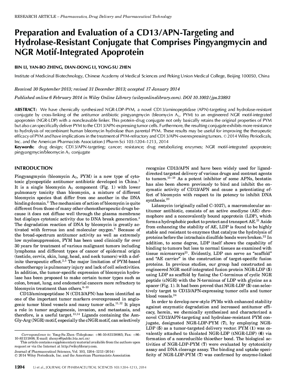 Preparation and Evaluation of a CD13/APN-Targeting and Hydrolase-Resistant Conjugate that Comprises Pingyangmycin and NGR Motif-Integrated Apoprotein