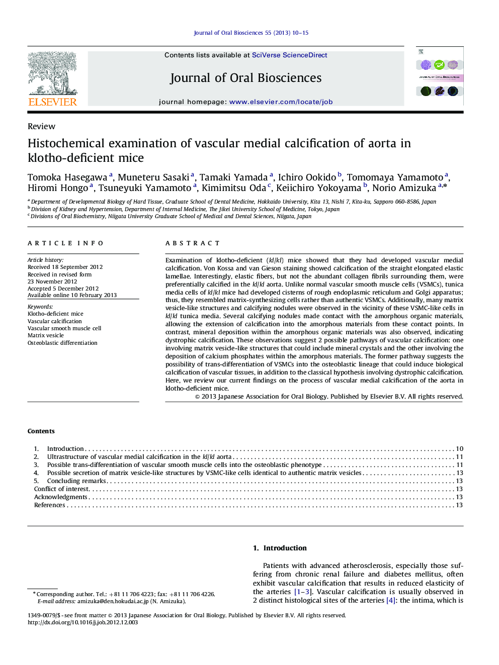 Histochemical examination of vascular medial calcification of aorta in klotho-deficient mice