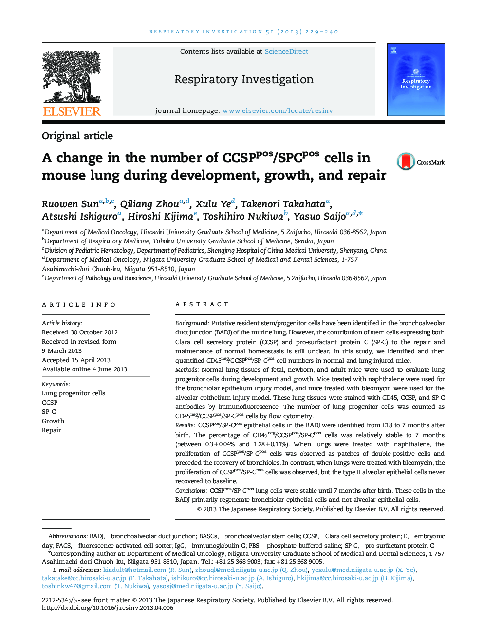 A change in the number of CCSPpos/SPCpos cells in mouse lung during development, growth, and repair