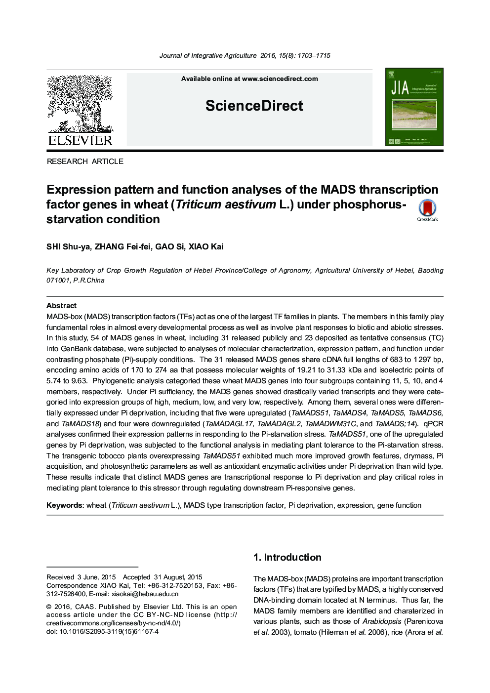 Expression pattern and function analyses of the MADS thranscription factor genes in wheat (Triticum aestivum L.) under phosphorus-starvation condition