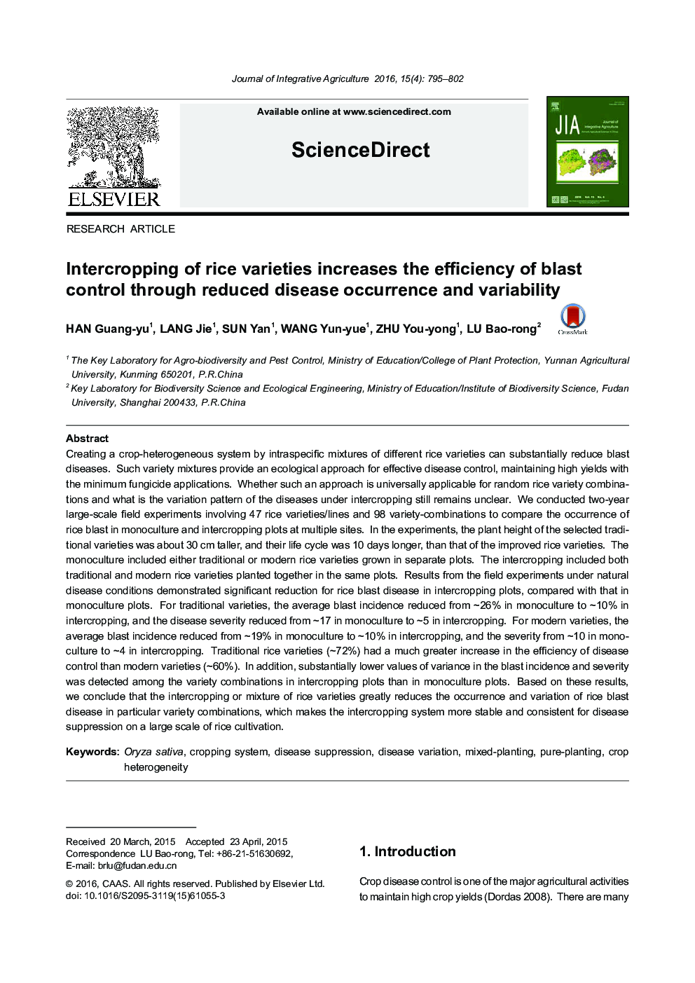 Intercropping of rice varieties increases the efficiency of blast control through reduced disease occurrence and variability