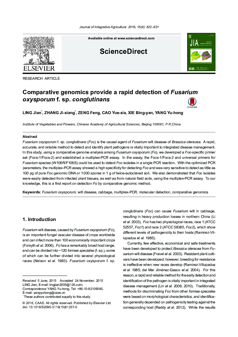 Comparative genomics provide a rapid detection of Fusarium oxysporum f. sp. conglutinans