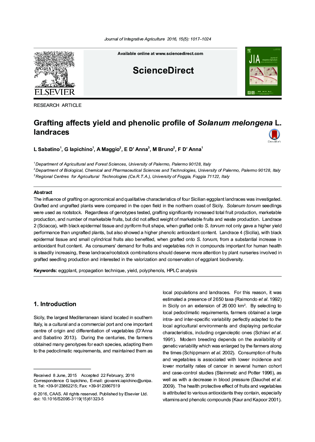 Grafting affects yield and phenolic profile of Solanum melongena L. landraces