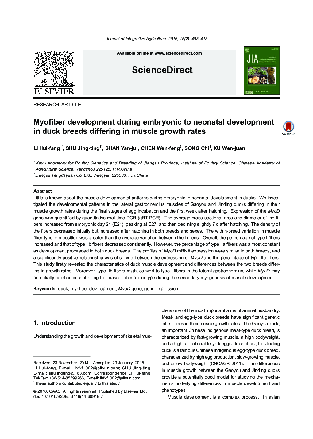 Myofiber development during embryonic to neonatal development in duck breeds differing in muscle growth rates