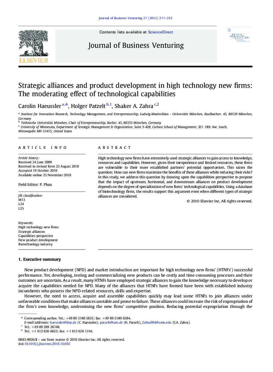 Strategic alliances and product development in high technology new firms: The moderating effect of technological capabilities