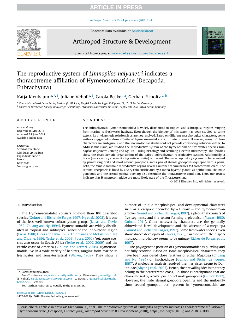 The reproductive system of Limnopilos naiyanetri indicates a thoracotreme affiliation of Hymenosomatidae (Decapoda, Eubrachyura)