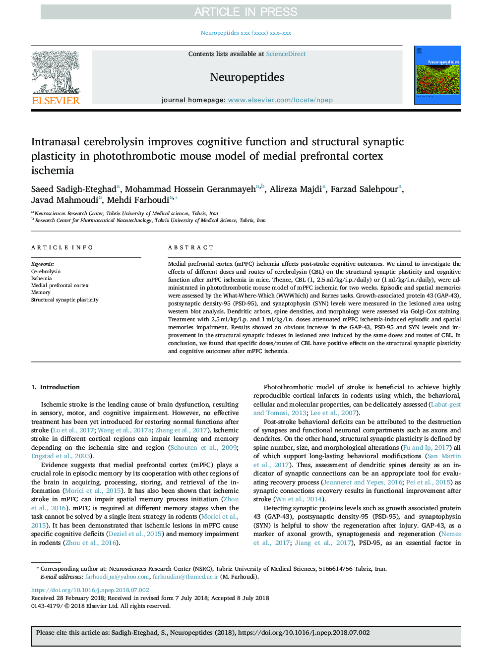 Intranasal cerebrolysin improves cognitive function and structural synaptic plasticity in photothrombotic mouse model of medial prefrontal cortex ischemia