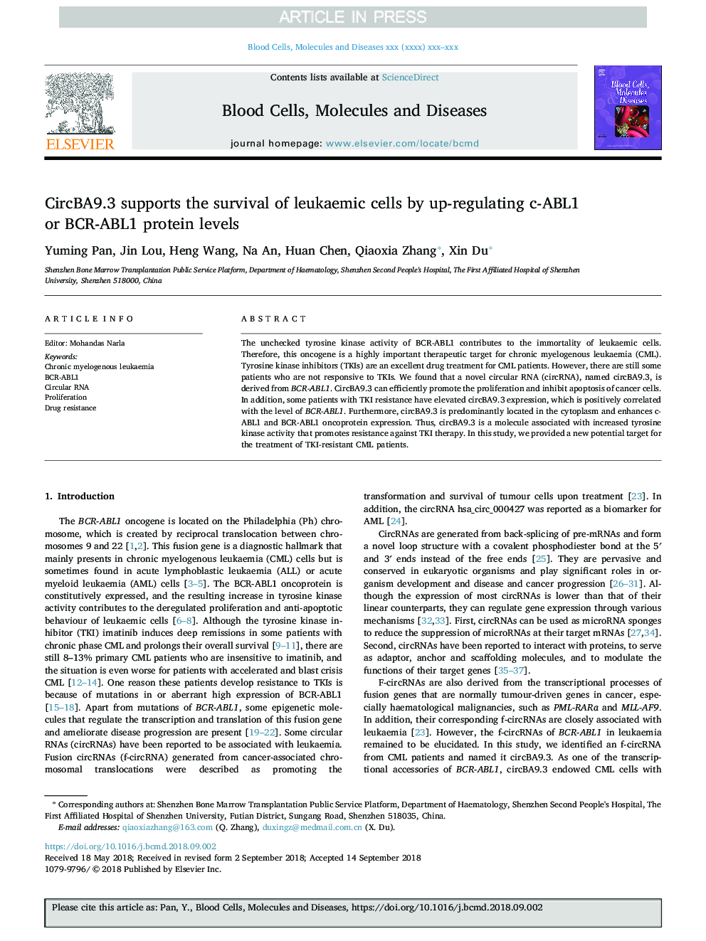 CircBA9.3 supports the survival of leukaemic cells by up-regulating c-ABL1 or BCR-ABL1 protein levels