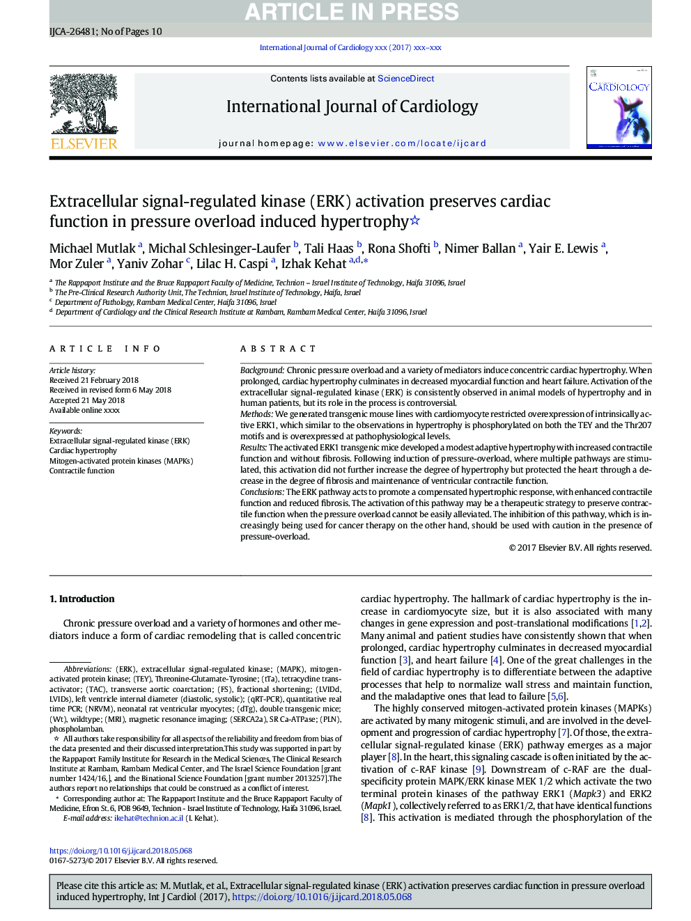 Extracellular signal-regulated kinase (ERK) activation preserves cardiac function in pressure overload induced hypertrophy