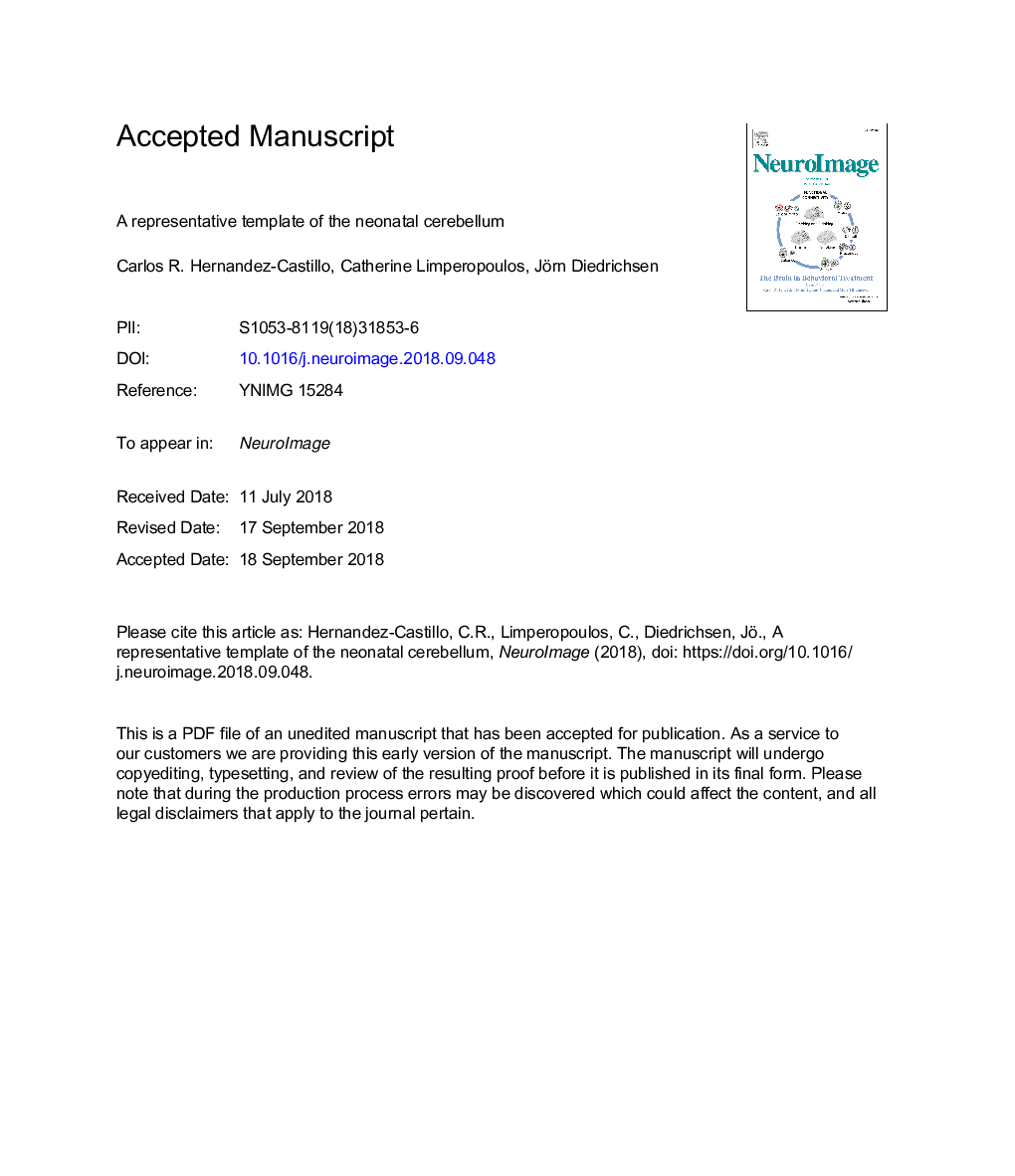 A representative template of the neonatal cerebellum