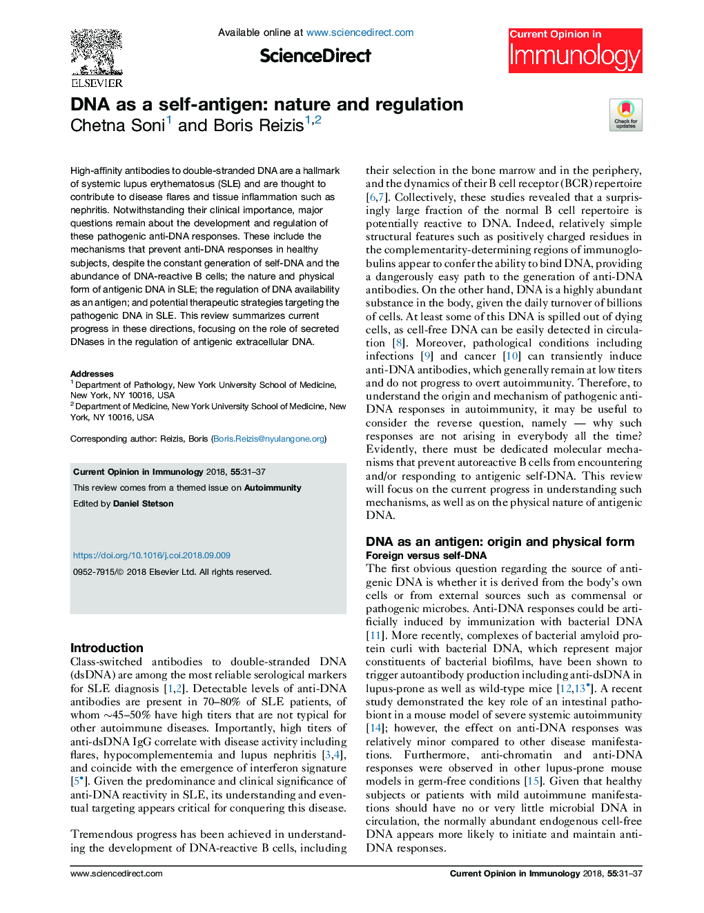 DNA as a self-antigen: nature and regulation