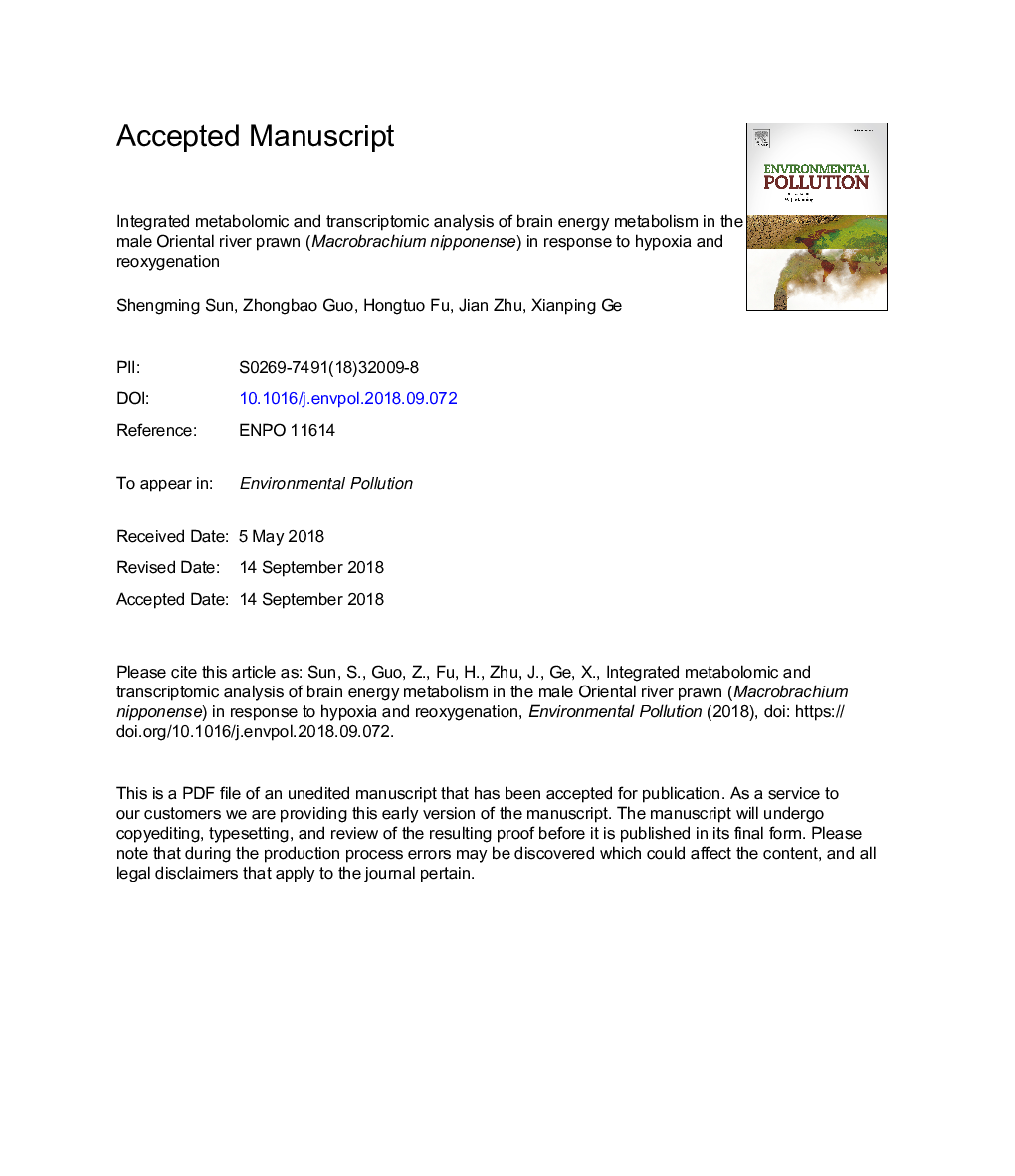 Integrated metabolomic and transcriptomic analysis of brain energy metabolism in the male Oriental river prawn (Macrobrachium nipponense) in response to hypoxia and reoxygenation