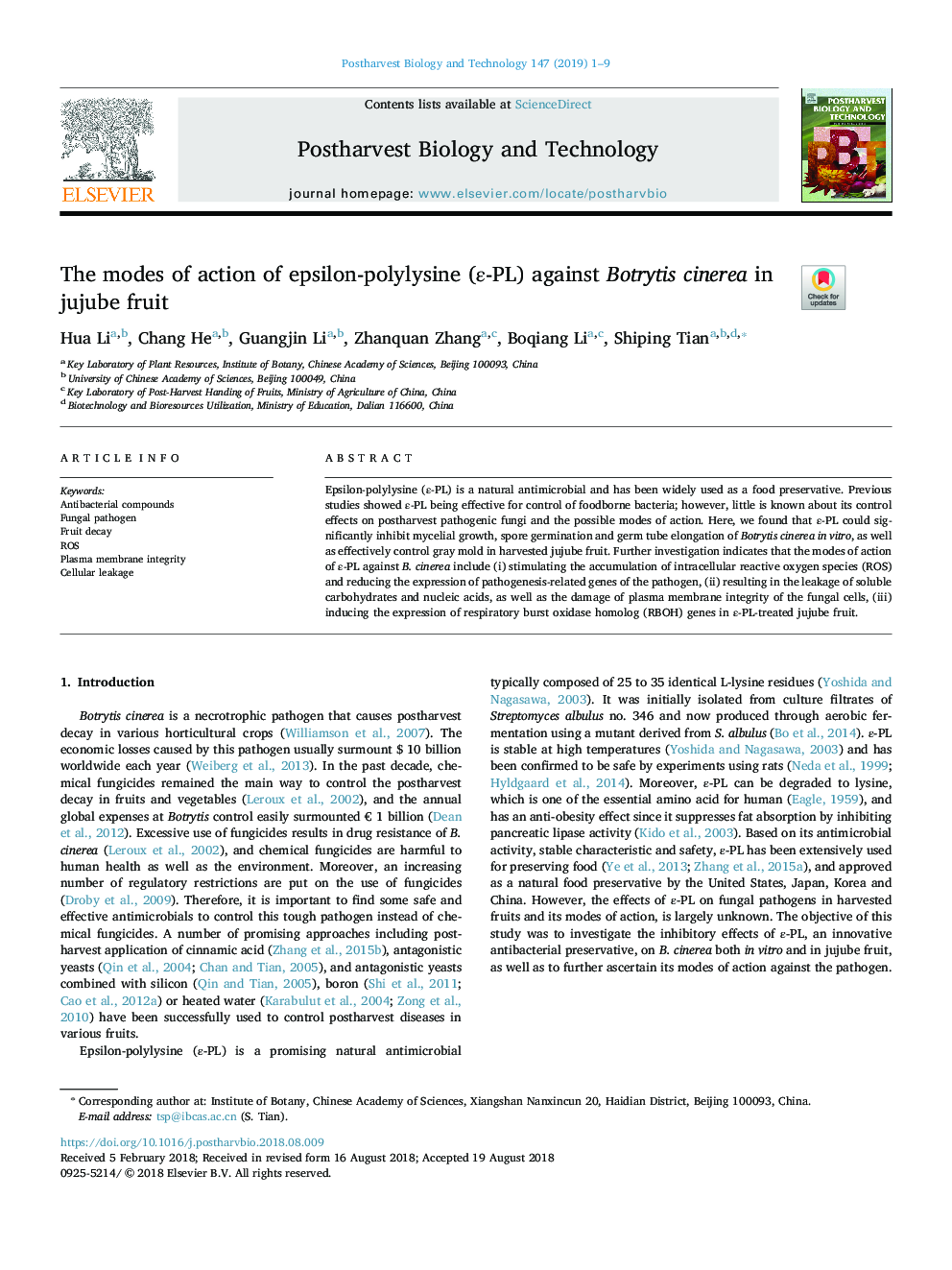 The modes of action of epsilon-polylysine (Îµ-PL) against Botrytis cinerea in jujube fruit