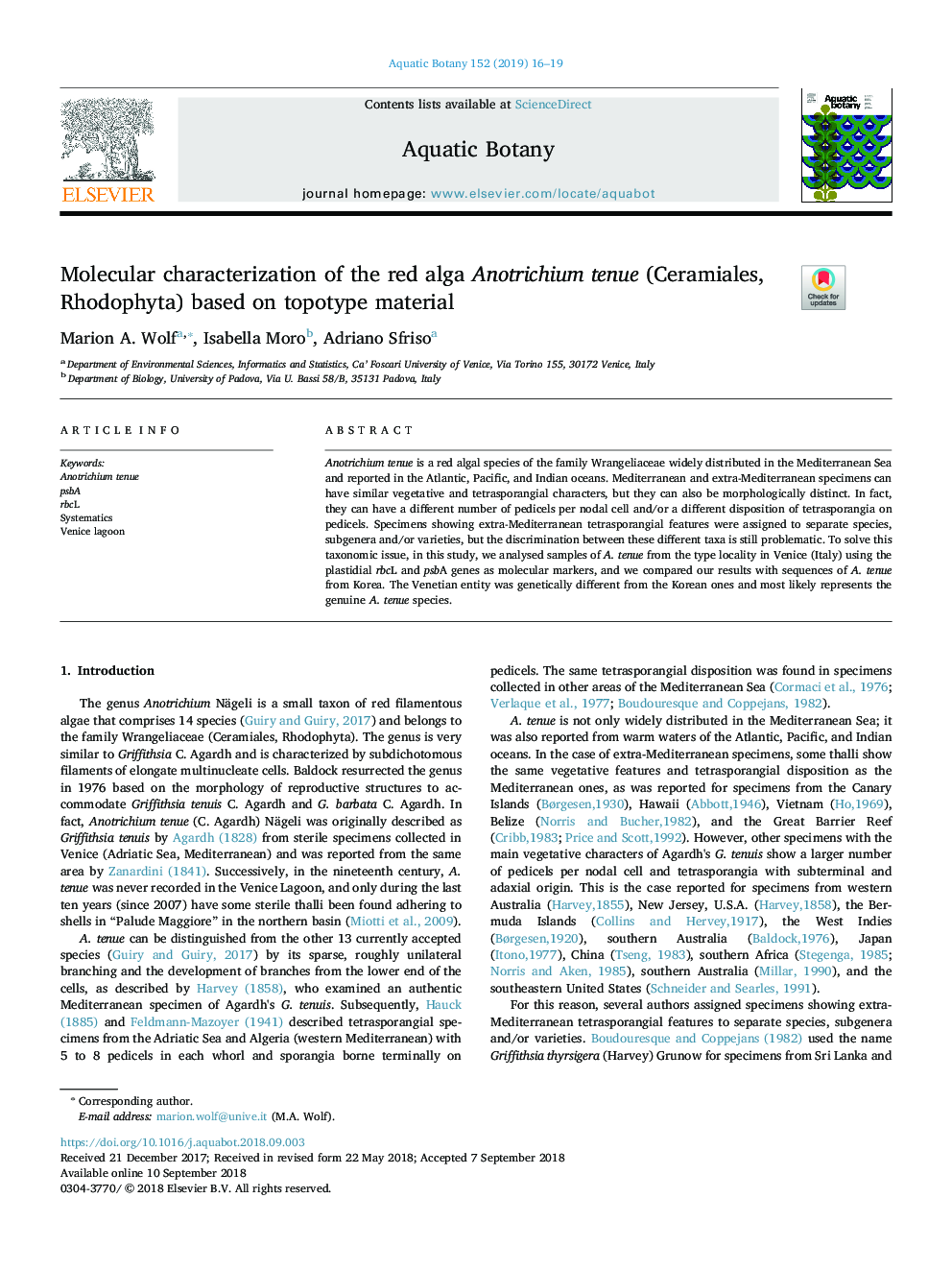 Molecular characterization of the red alga Anotrichium tenue (Ceramiales, Rhodophyta) based on topotype material