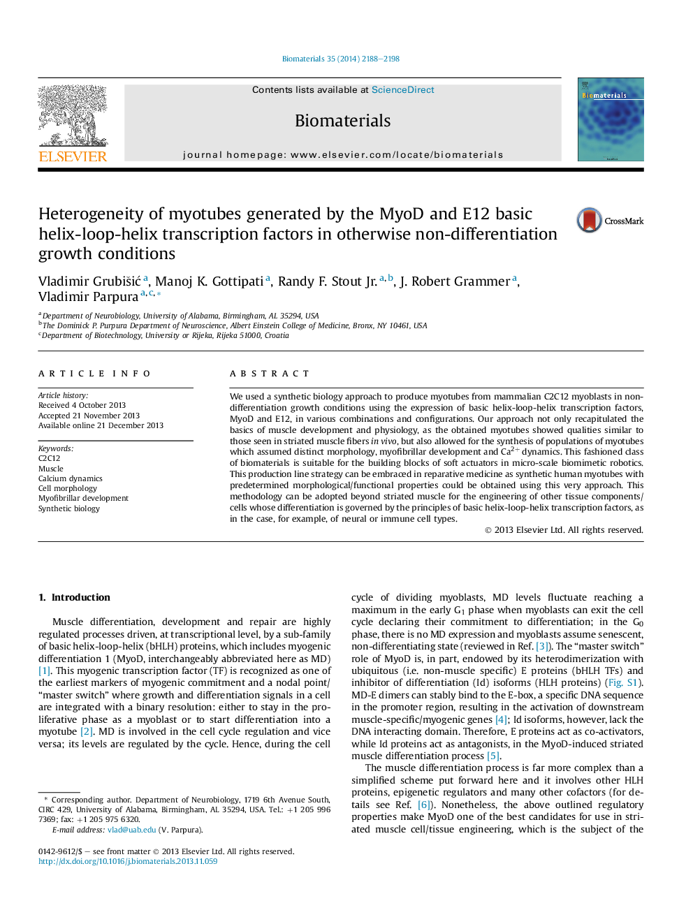 Heterogeneity of myotubes generated by the MyoD and E12 basic helix-loop-helix transcription factors in otherwise non-differentiation growth conditions