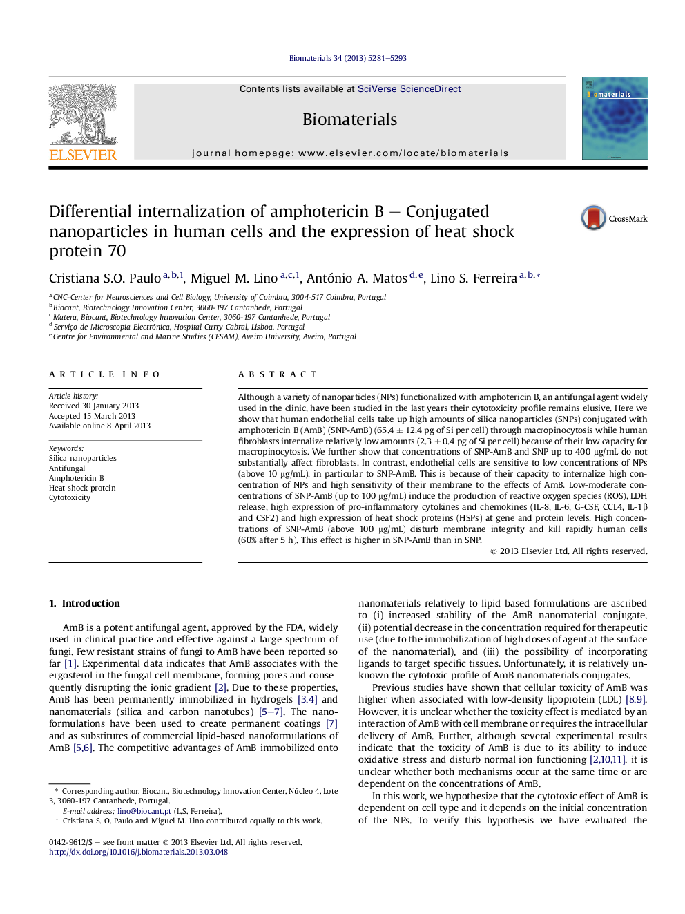 Differential internalization of amphotericin B - Conjugated nanoparticles in human cells and the expression of heat shock proteinÂ 70