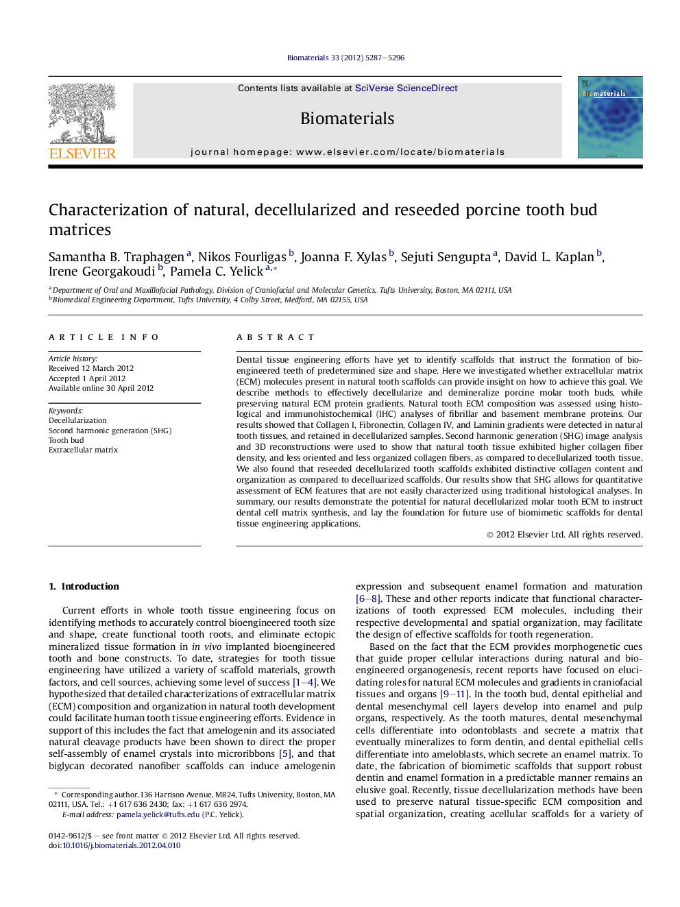 Characterization of natural, decellularized and reseeded porcine tooth bud matrices