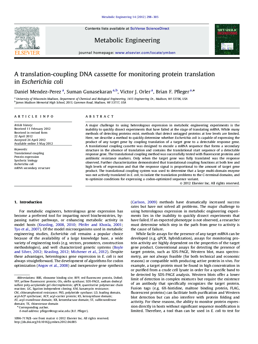 A translation-coupling DNA cassette for monitoring protein translation in Escherichia coli