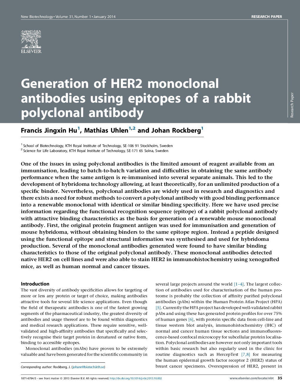 Generation of HER2 monoclonal antibodies using epitopes of a rabbit polyclonal antibody