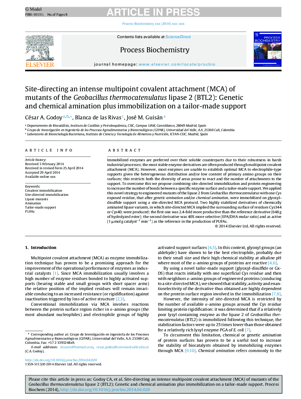 Site-directing an intense multipoint covalent attachment (MCA) of mutants of the Geobacillus thermocatenulatus lipase 2 (BTL2): Genetic and chemical amination plus immobilization on a tailor-made support