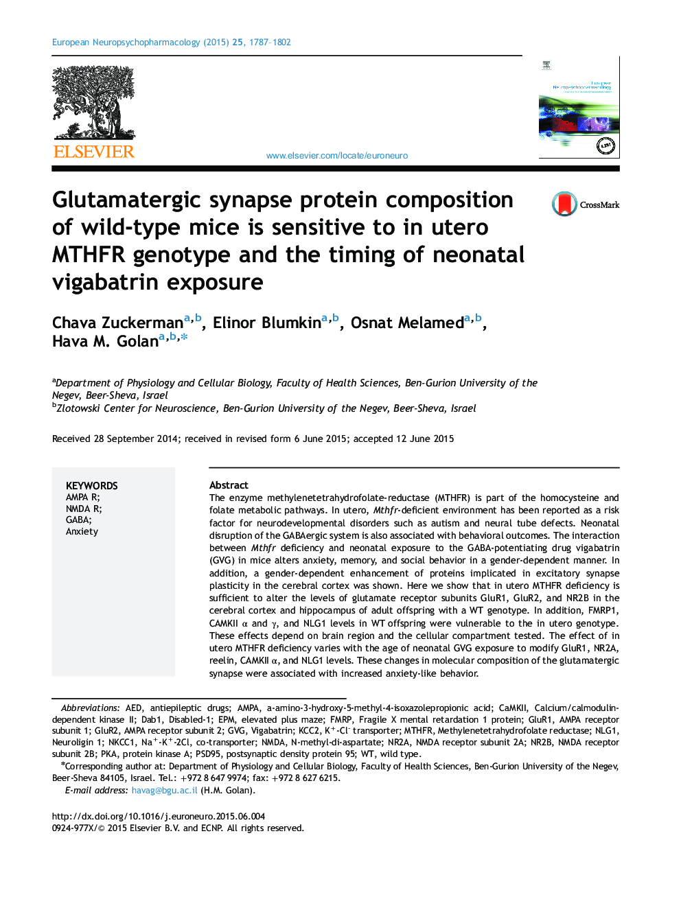 Glutamatergic synapse protein composition of wild-type mice is sensitive to in utero MTHFR genotype and the timing of neonatal vigabatrin exposure