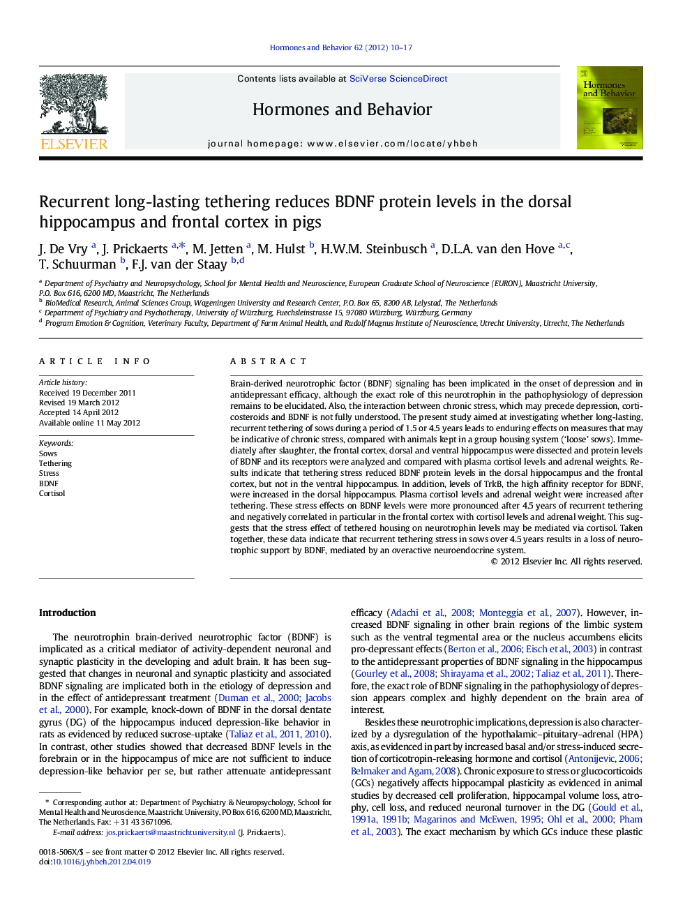 Recurrent long-lasting tethering reduces BDNF protein levels in the dorsal hippocampus and frontal cortex in pigs