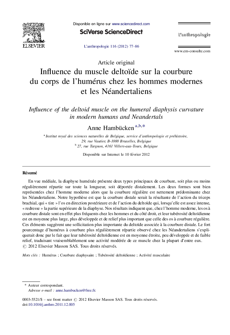Influence du muscle deltoïde sur la courbure du corps de l'humérus chez les hommes modernes et les Néandertaliens