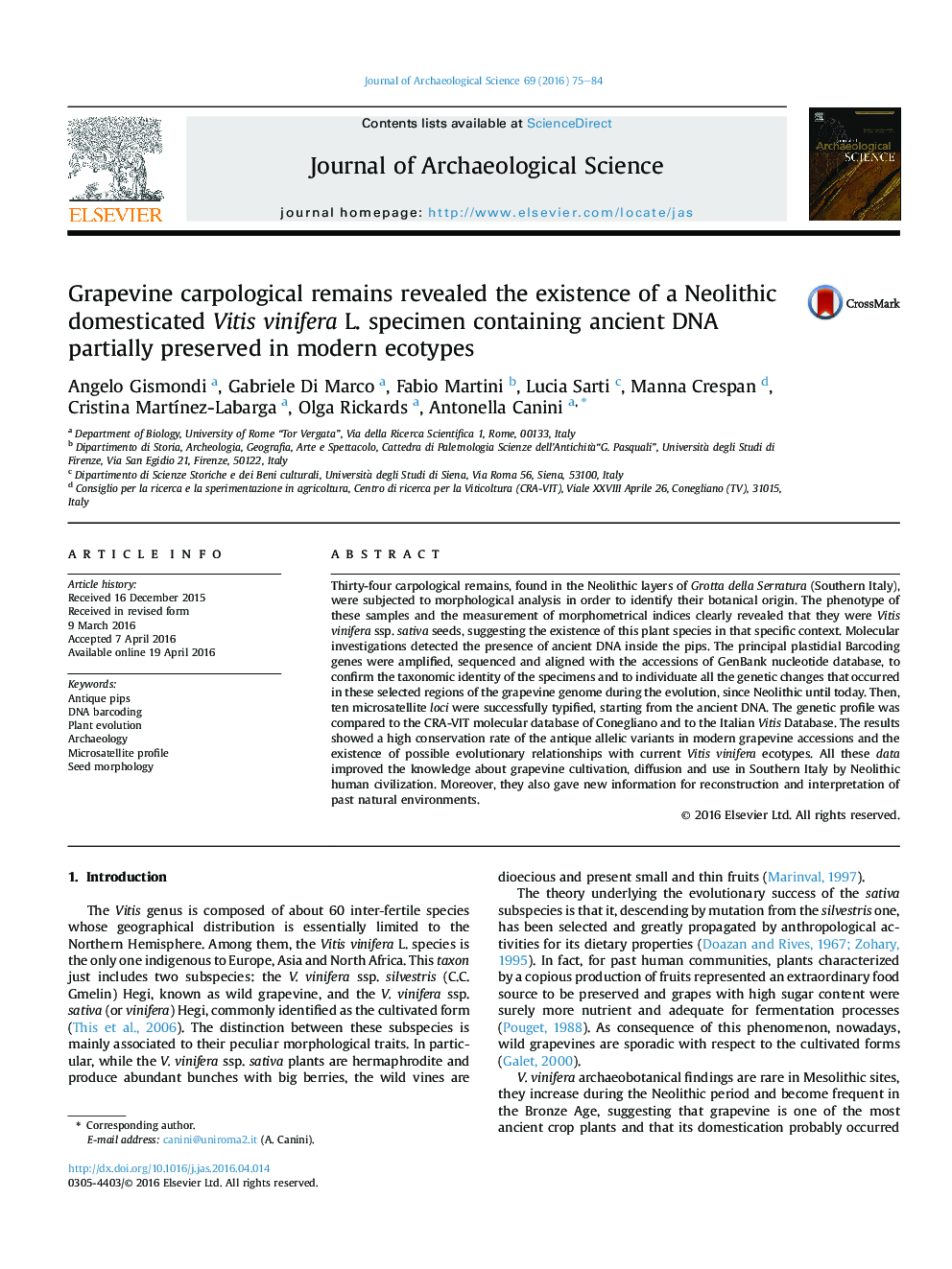 Grapevine carpological remains revealed the existence of a Neolithic domesticated Vitis vinifera L. specimen containing ancient DNA partially preserved in modern ecotypes