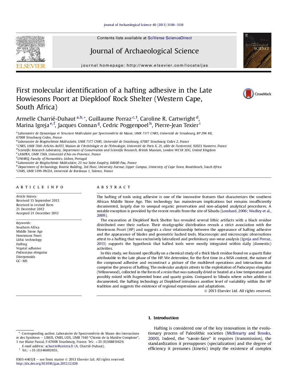 First molecular identification of a hafting adhesive in the Late Howiesons Poort at Diepkloof Rock Shelter (Western Cape, South Africa)