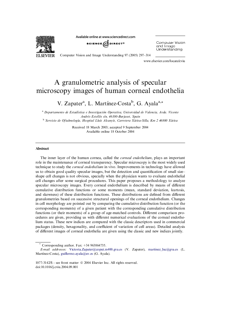 A granulometric analysis of specular microscopy images of human corneal endothelia