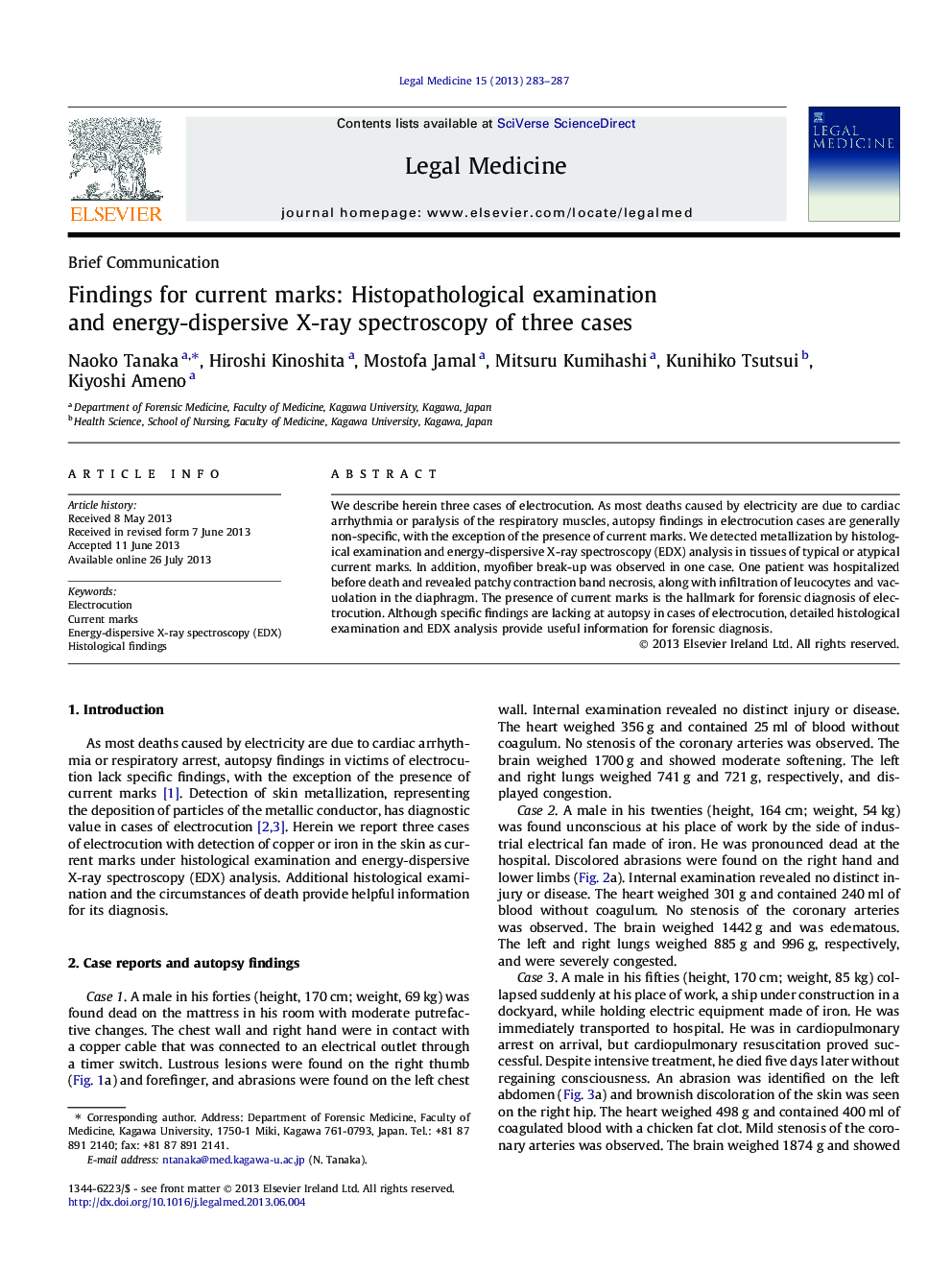 Findings for current marks: Histopathological examination and energy-dispersive X-ray spectroscopy of three cases