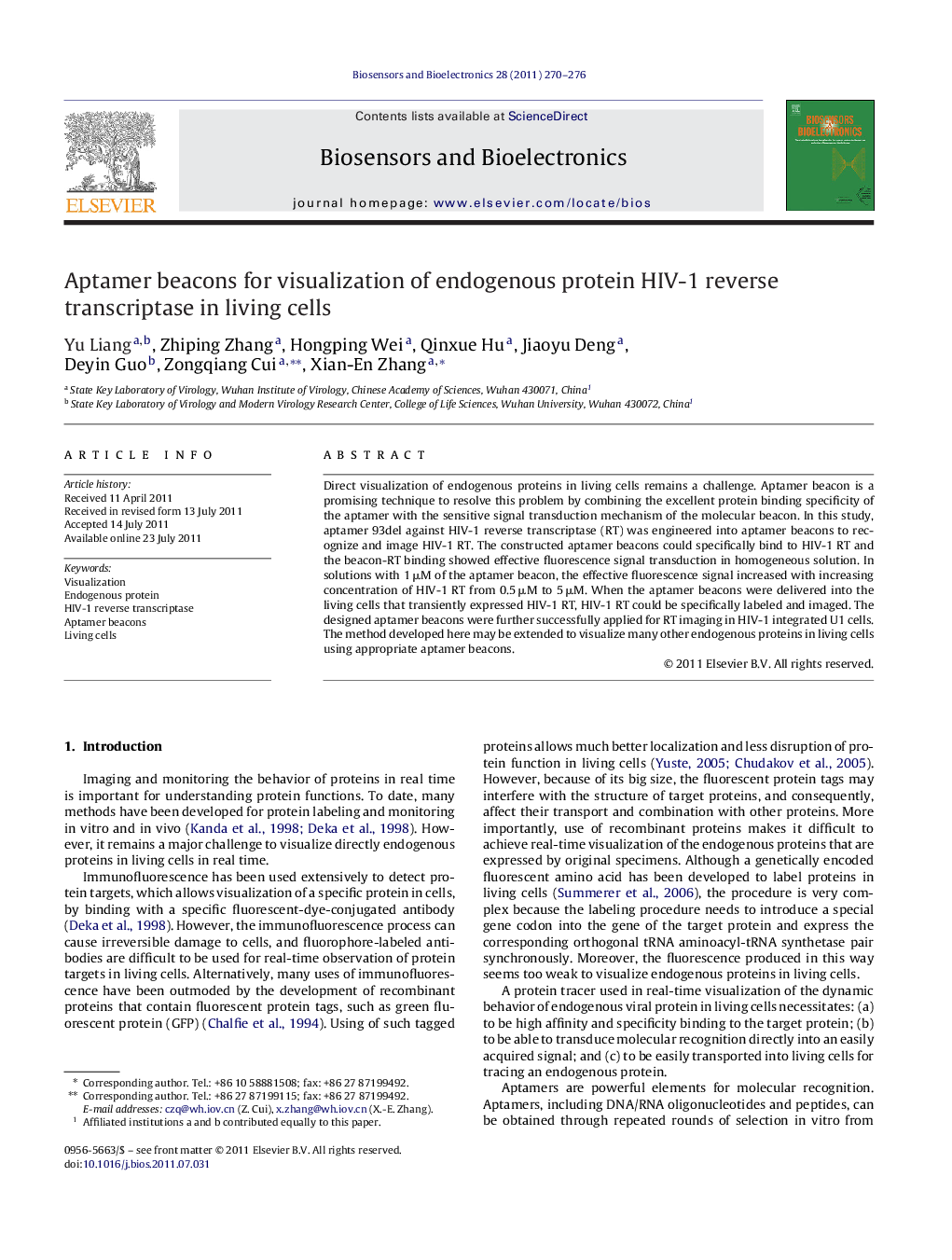 Aptamer beacons for visualization of endogenous protein HIV-1 reverse transcriptase in living cells