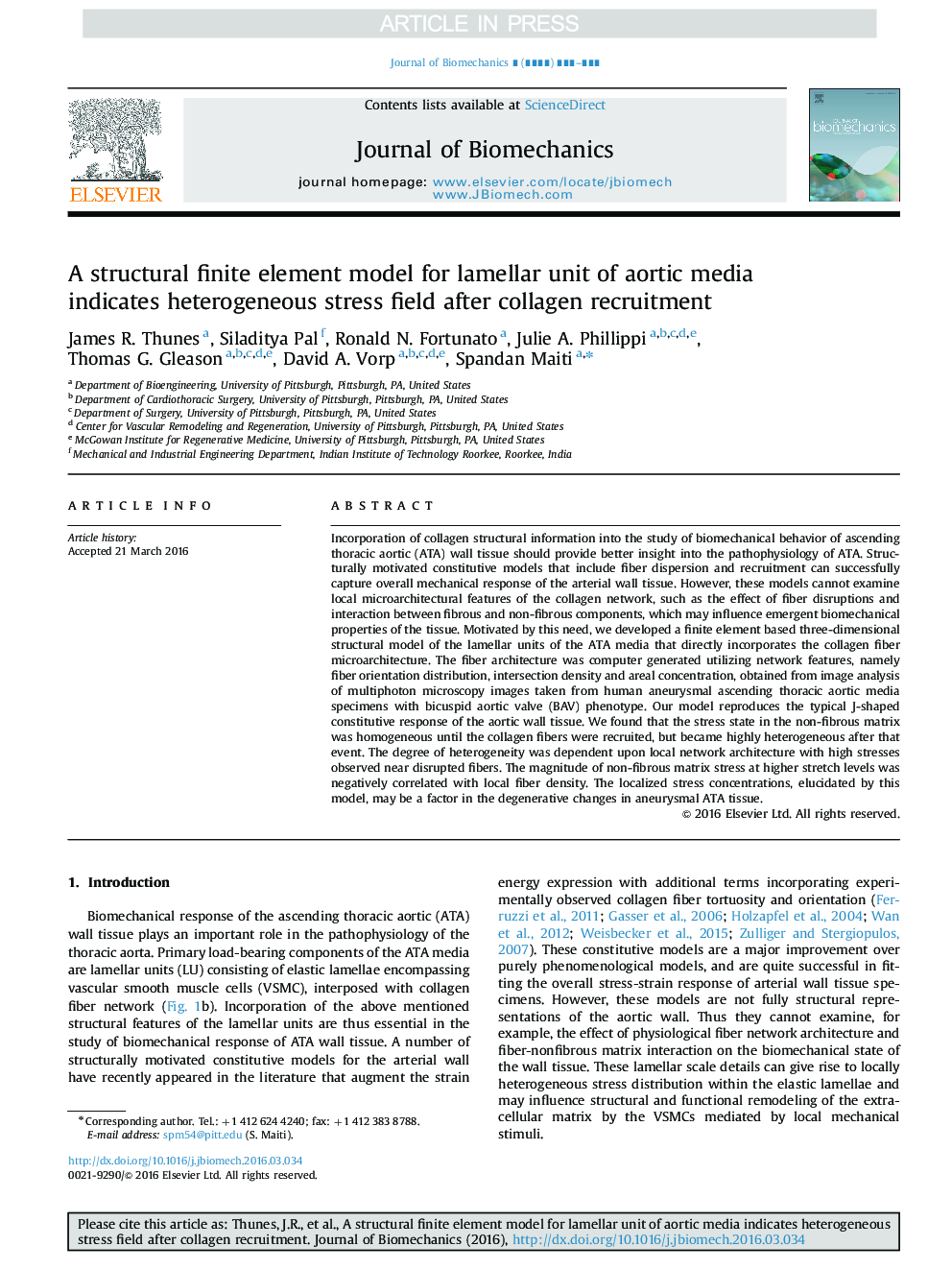 A structural finite element model for lamellar unit of aortic media indicates heterogeneous stress field after collagen recruitment