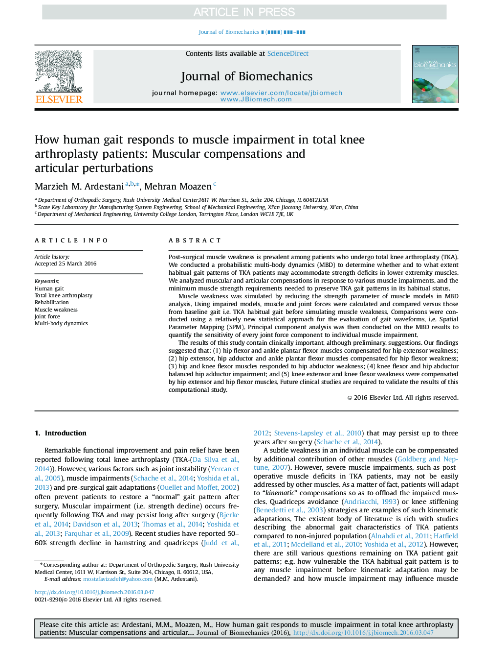 How human gait responds to muscle impairment in total knee arthroplasty patients: Muscular compensations and articular perturbations