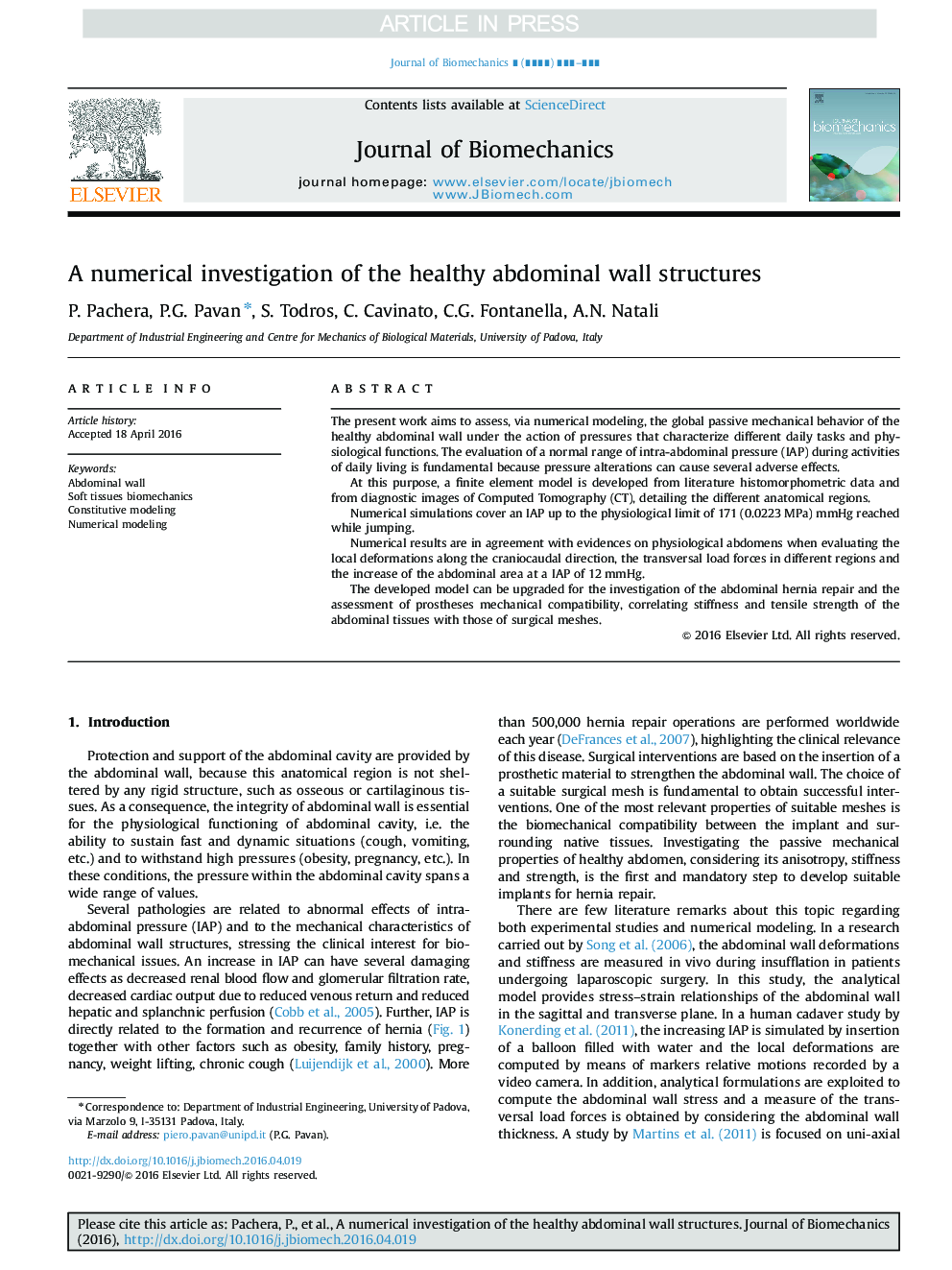 A numerical investigation of the healthy abdominal wall structures