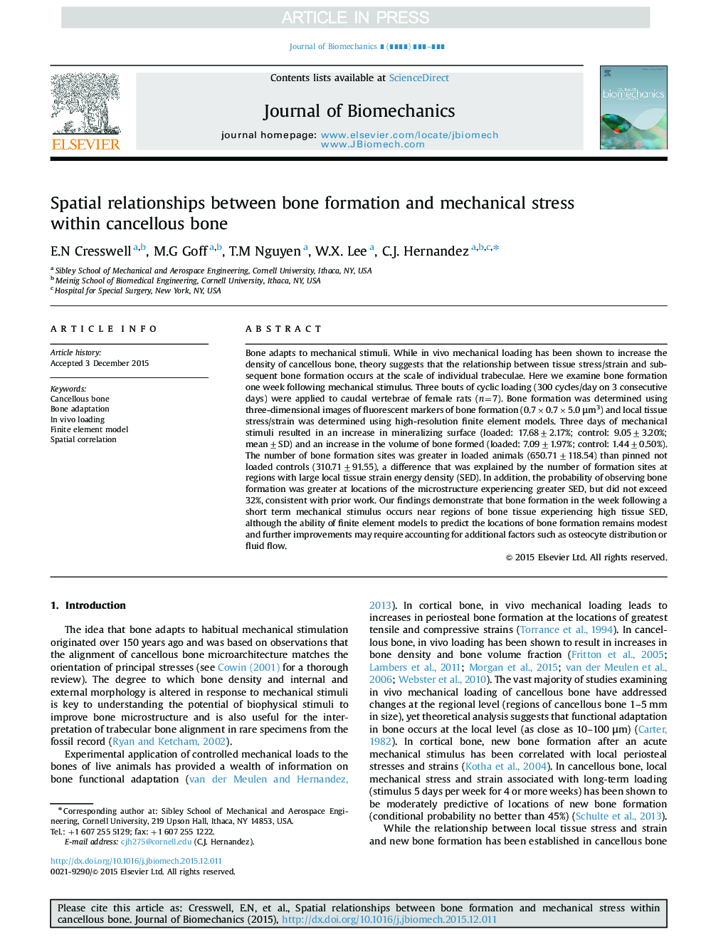 Spatial relationships between bone formation and mechanical stress within cancellous bone