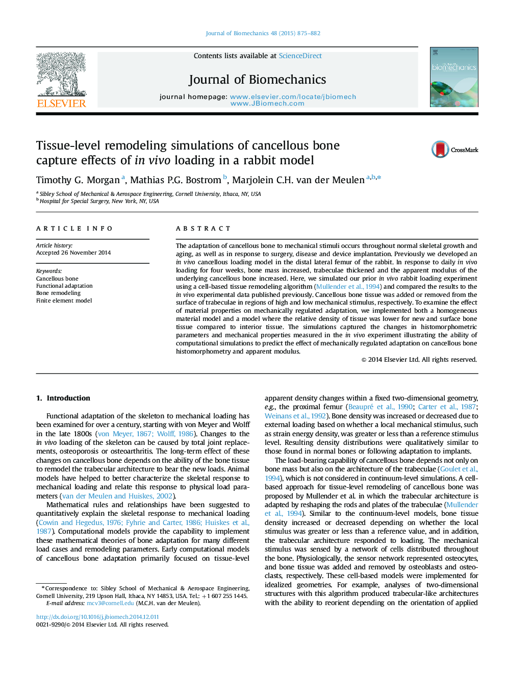 Tissue-level remodeling simulations of cancellous bone capture effects of in vivo loading in a rabbit model