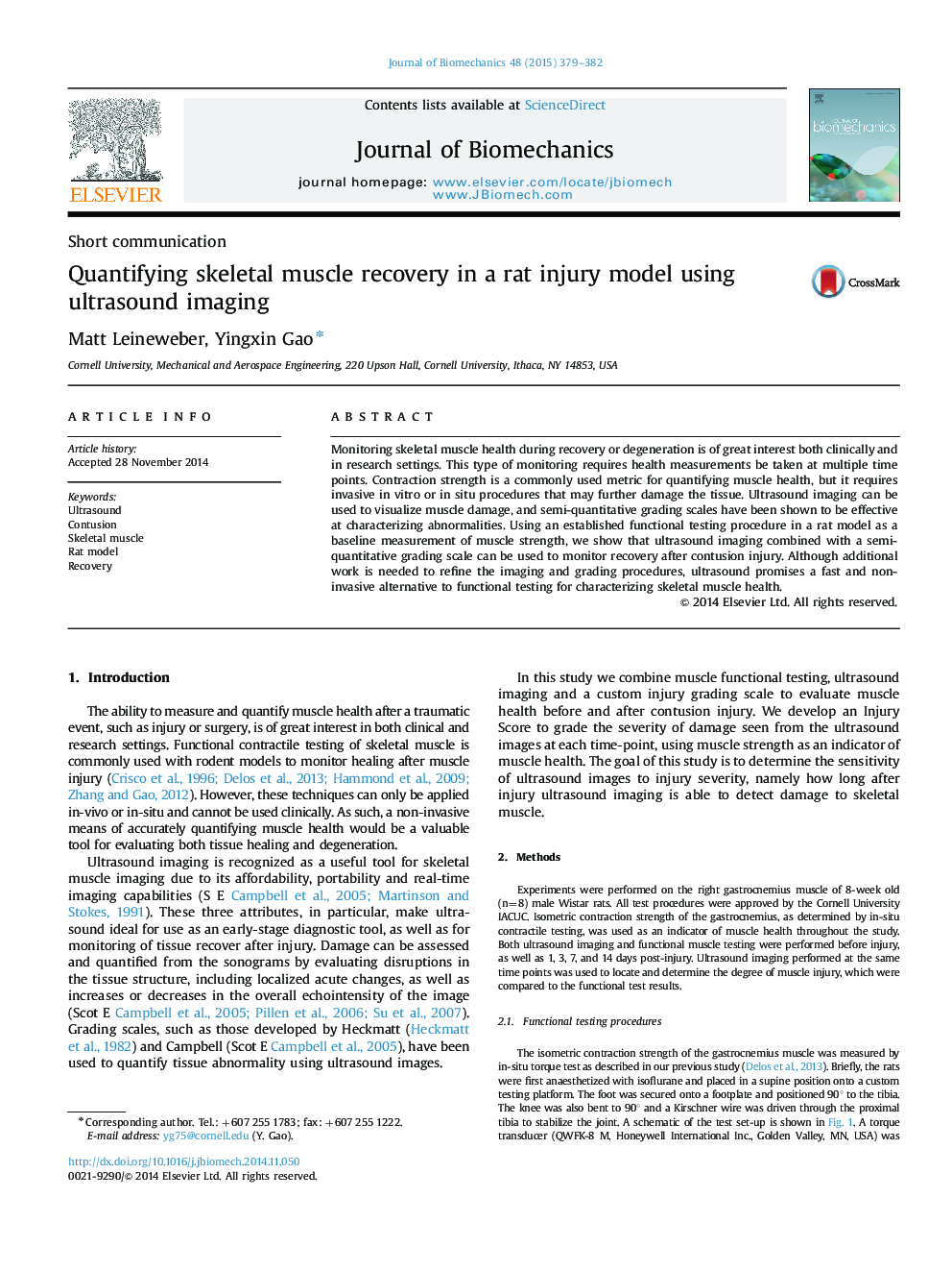 Quantifying skeletal muscle recovery in a rat injury model using ultrasound imaging