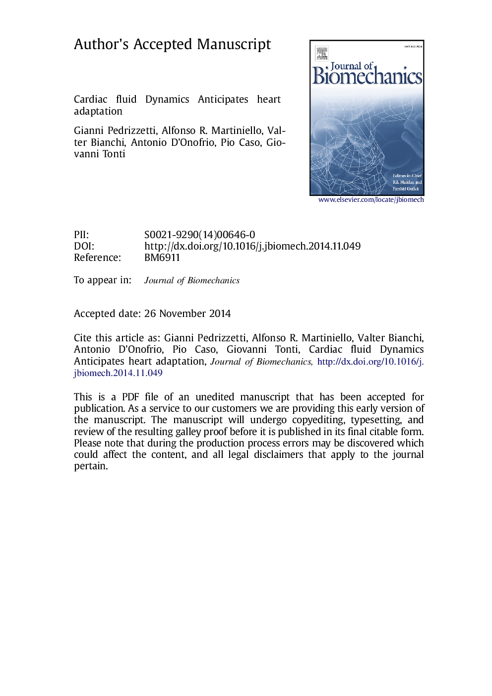 Cardiac fluid dynamics anticipates heart adaptation