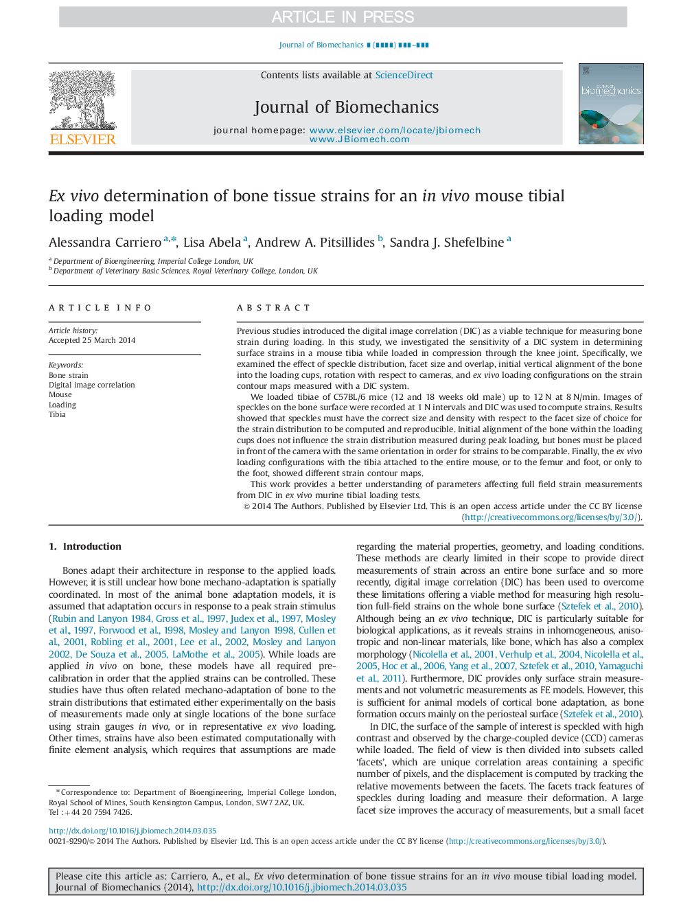 Ex vivo determination of bone tissue strains for an in vivo mouse tibial loading model