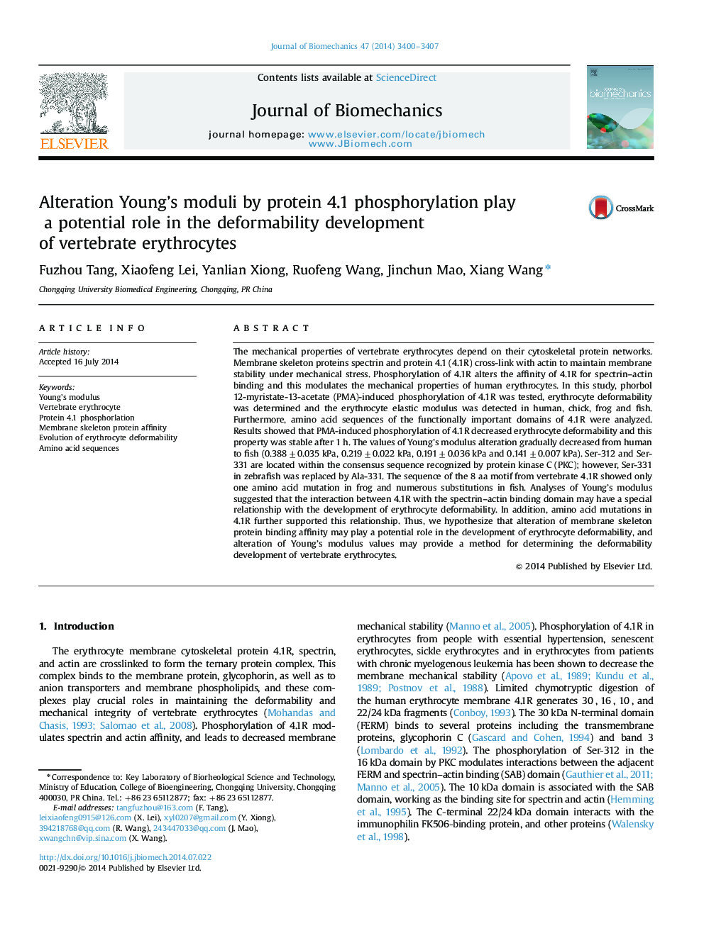 Alteration Young's moduli by protein 4.1 phosphorylation play a potential role in the deformability development of vertebrate erythrocytes