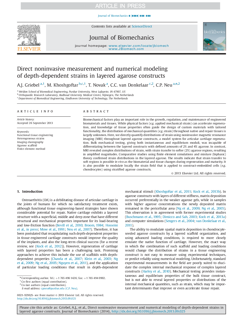 Direct noninvasive measurement and numerical modeling of depth-dependent strains in layered agarose constructs