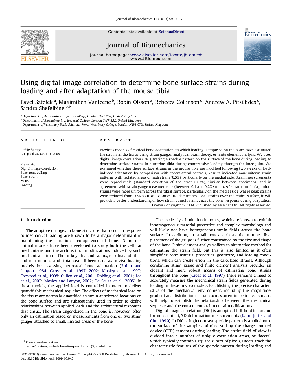 Using digital image correlation to determine bone surface strains during loading and after adaptation of the mouse tibia