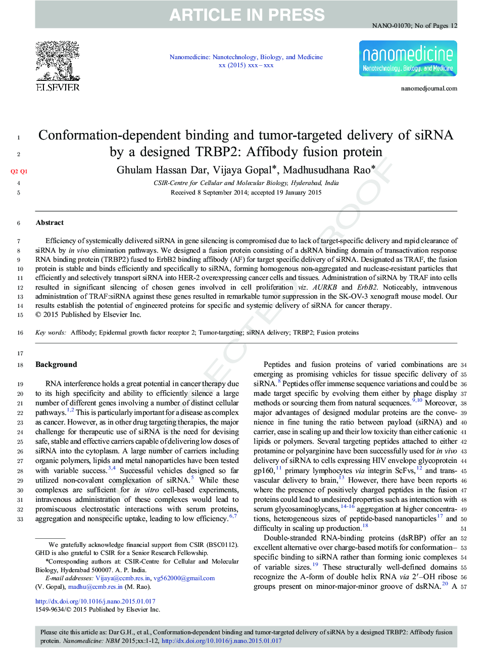 Conformation-dependent binding and tumor-targeted delivery of siRNA by a designed TRBP2: Affibody fusion protein