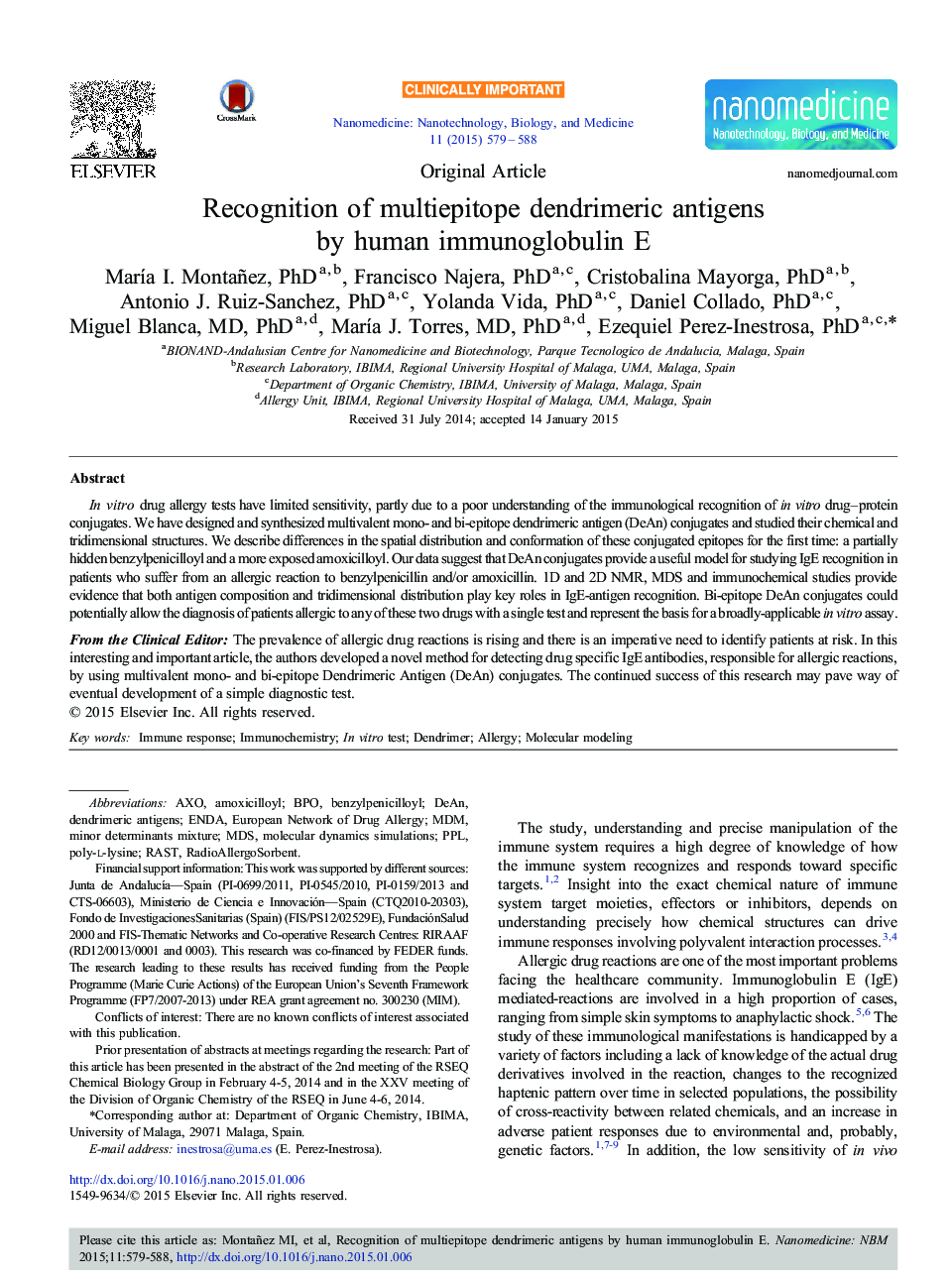 Recognition of multiepitope dendrimeric antigens by human immunoglobulin E