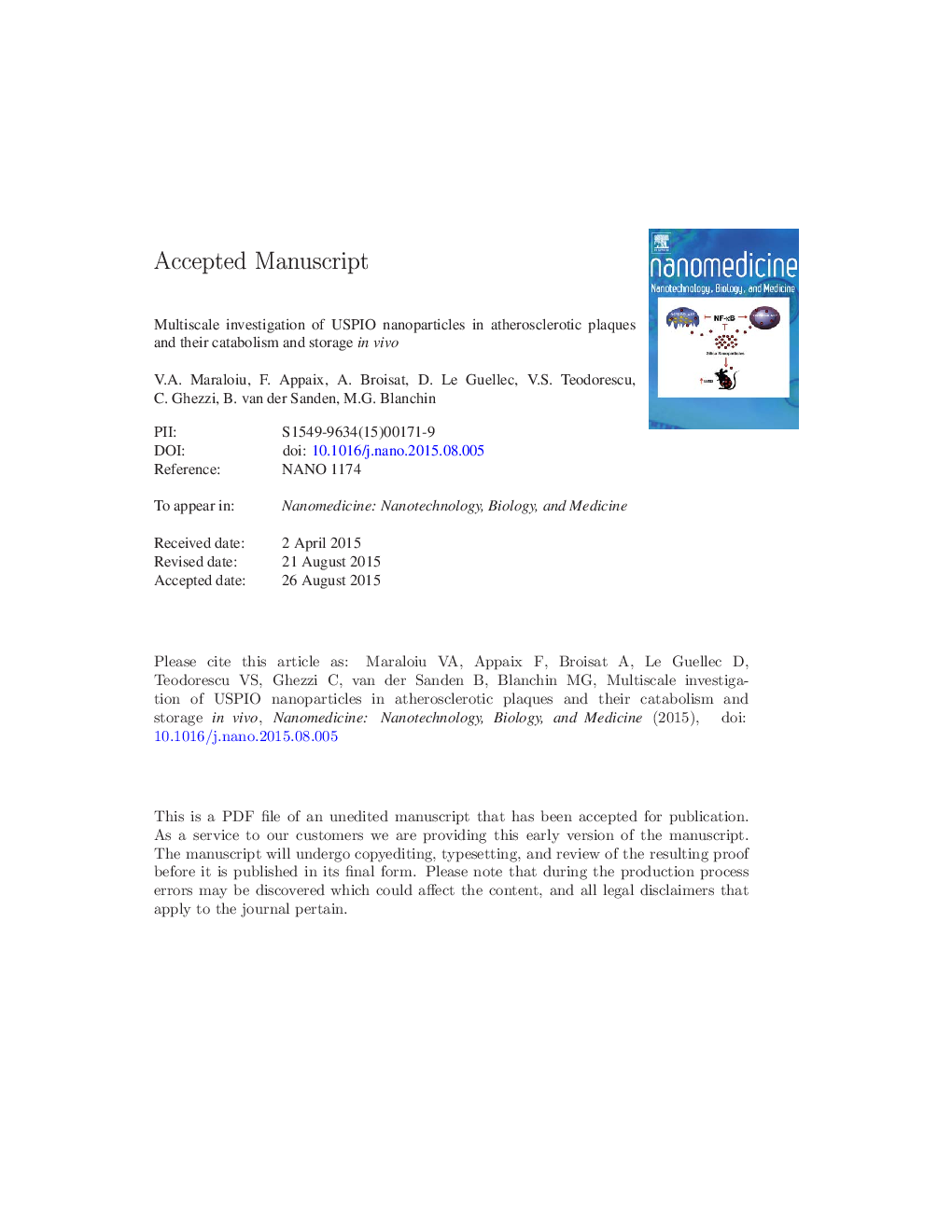 Multiscale investigation of USPIO nanoparticles in atherosclerotic plaques and their catabolism and storage in vivo