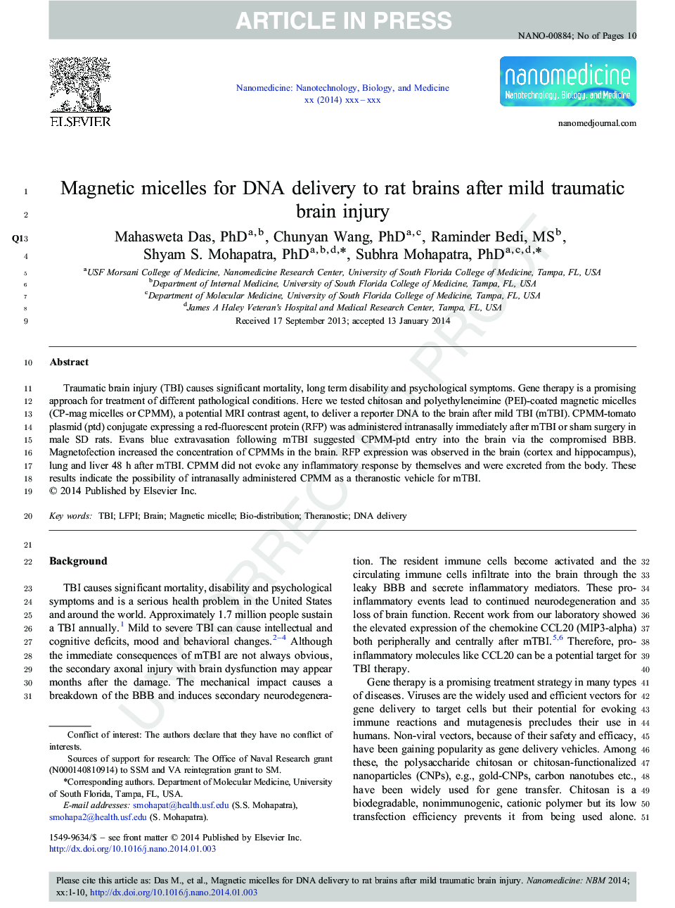 Magnetic micelles for DNA delivery to rat brains after mild traumatic brain injury